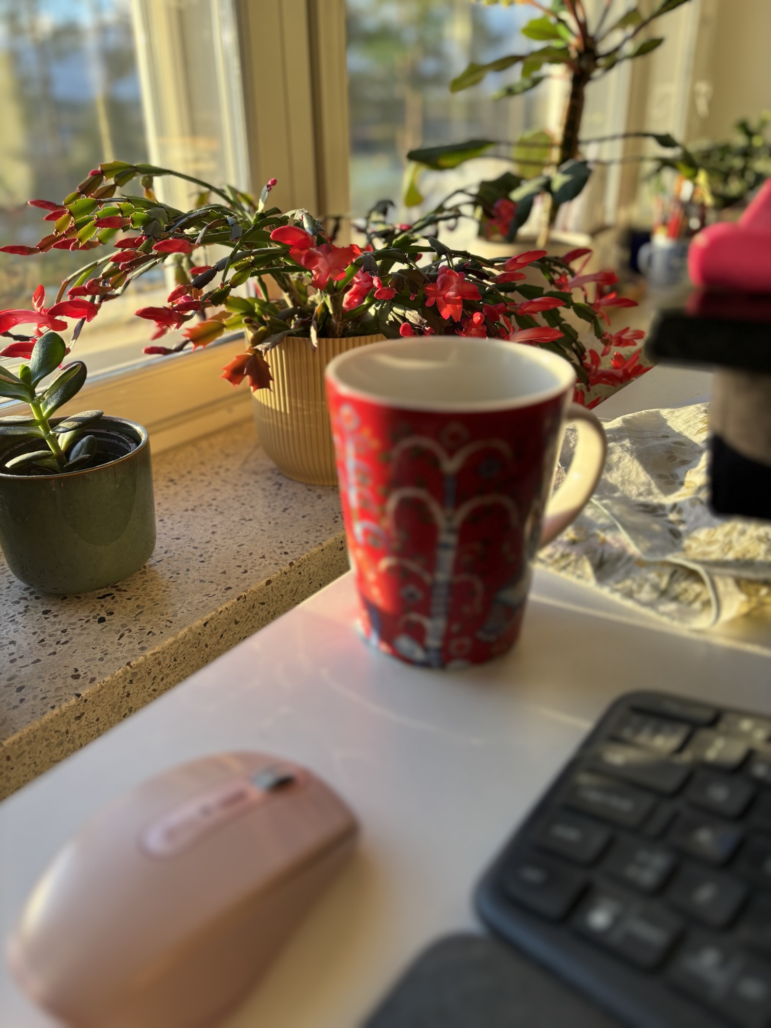 pink mouse, red mug, bright pink flowering cactus, corner of a keyboard